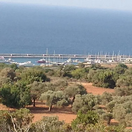 Camping The Enchanted Campsite Agia Trias