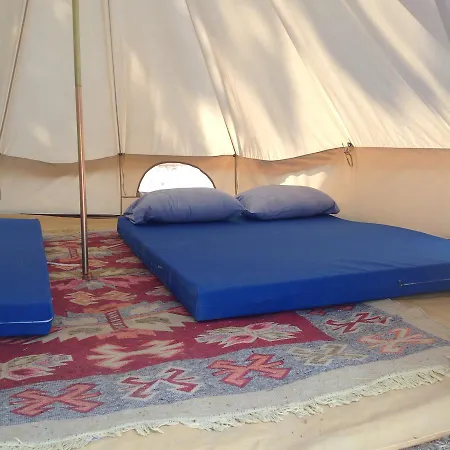 The Enchanted Campsite